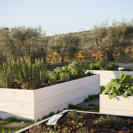 Podere Brizio (adults Only) Hotel 3*