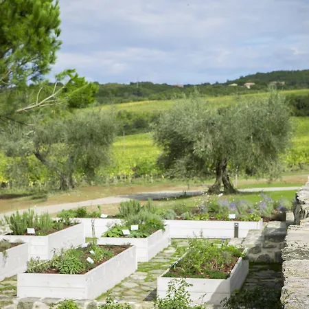 Podere Brizio (adults Only) מלון