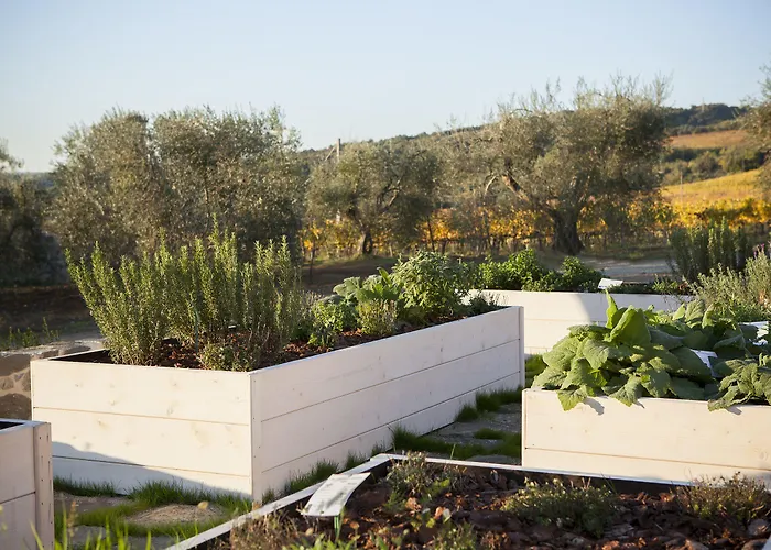 Podere Brizio (adults Only) Hotel 3*