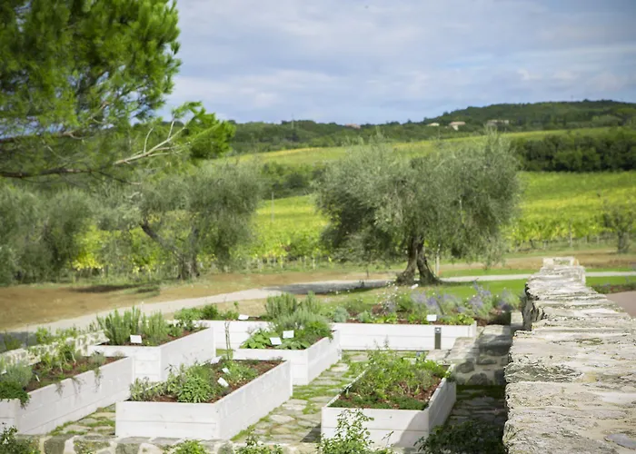 Podere Brizio (adults Only) Hotel